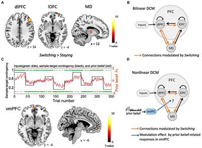 Modulation of prefrontal couplings by prior belief-related responses in ventromedial prefrontal cortex